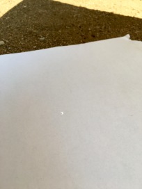 Inverted projection of the eclipse